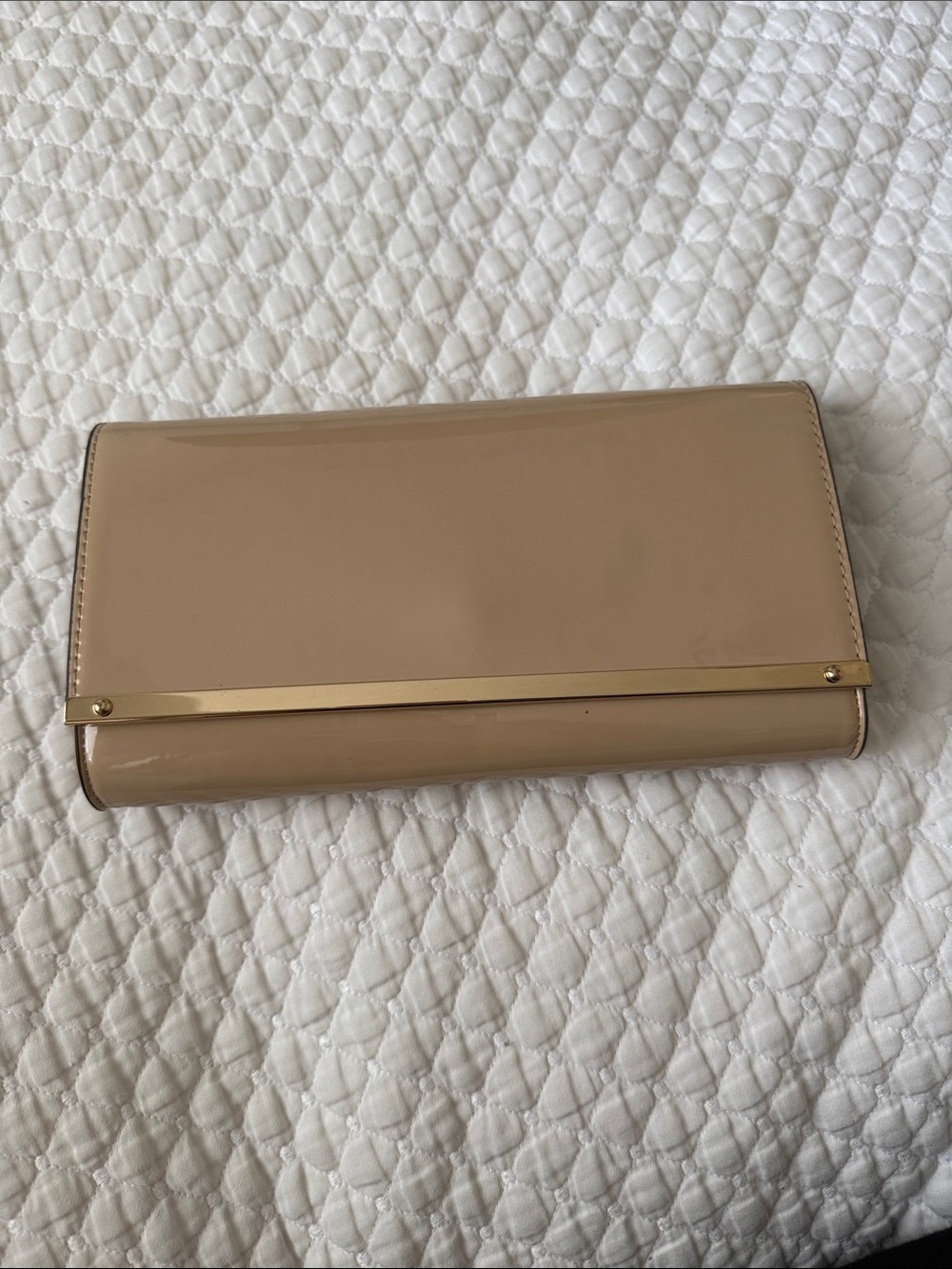 Aldo Women's Nude Patent Clutch with Gold Bar